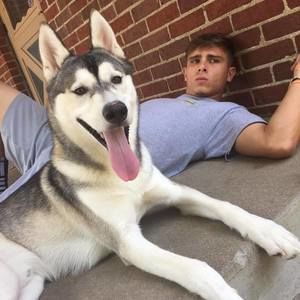 Meet your Posher, Chase